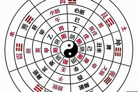 陰金人|易經八字